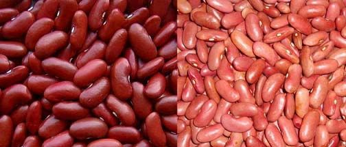 Light Red Beans