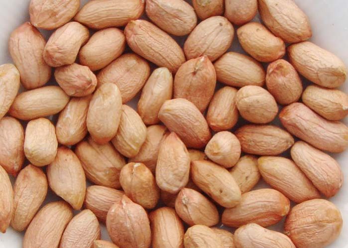 Red Skin Peanuts