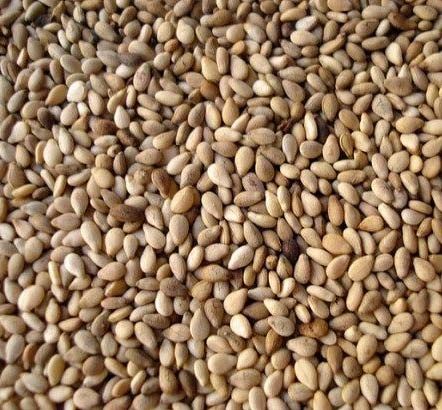 sesame seeds