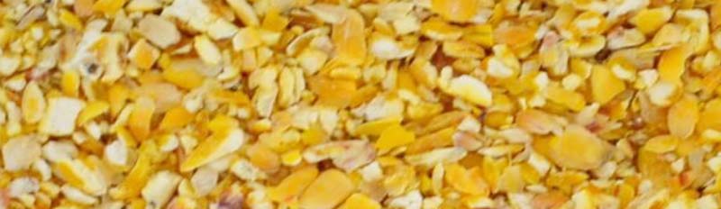 Split and Mashed Corn