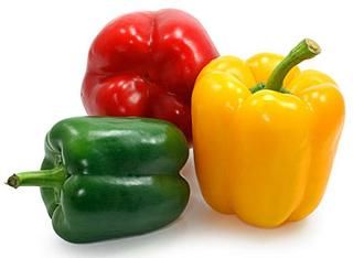 Capsicum