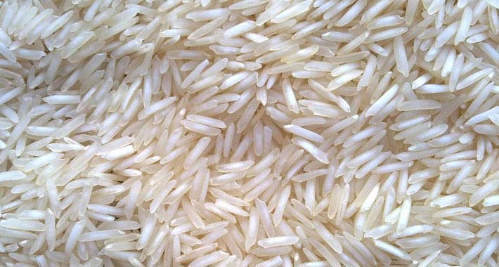 1509 Basmati Rice