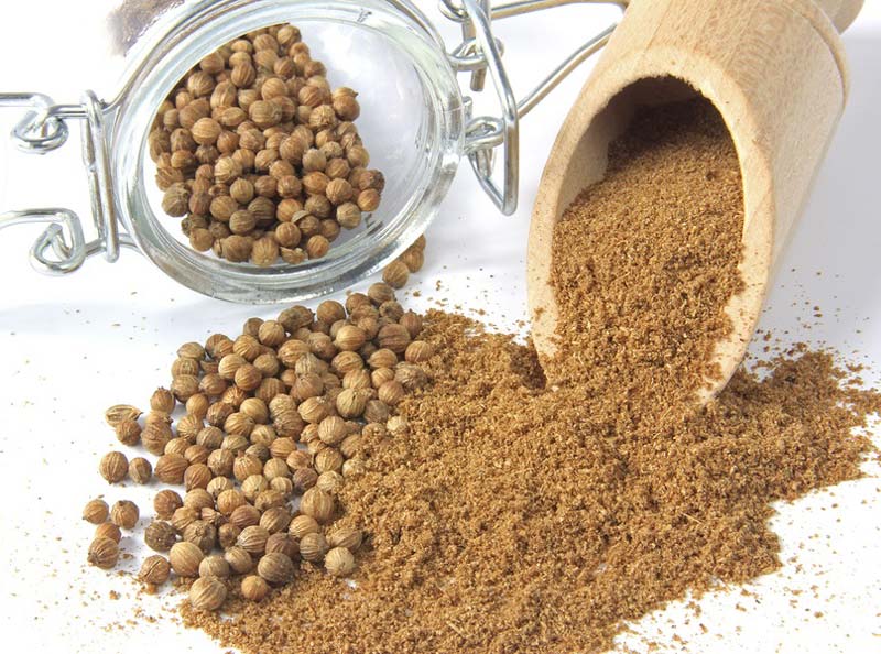 coriander powder