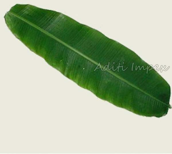 Organic Banana Leaves, for Making Disposable Items, Feature : Easy To Grow, Good Quality, Highly Effective