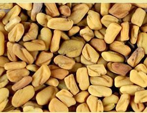 fenugreek seed