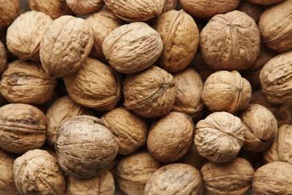 Pecan Nuts