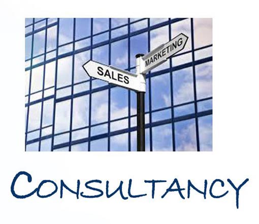 business consultancy services