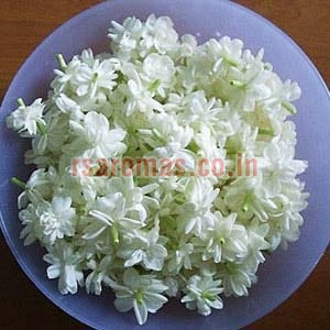 Jasmine Floral Water