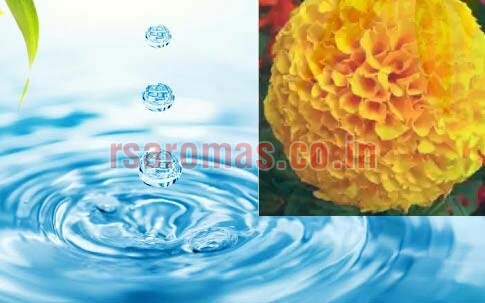 Marigold Floral Water