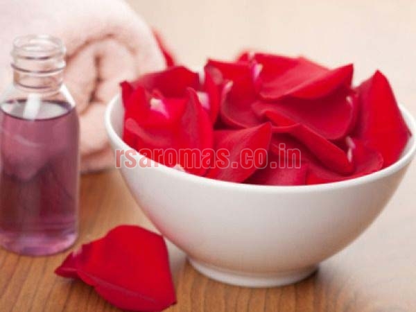 Rose Absolute Oil