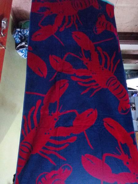 Cotton Printed Beach Towels, Size : 80*150cm