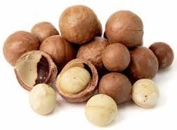 macadamia nuts