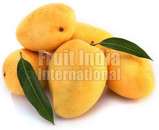 fresh mango