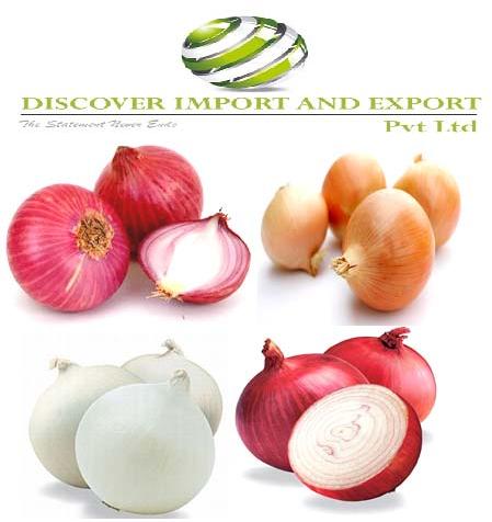 Dehydrated onion export