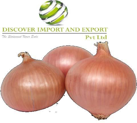 Onion Pink