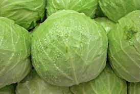 fresh cabbage