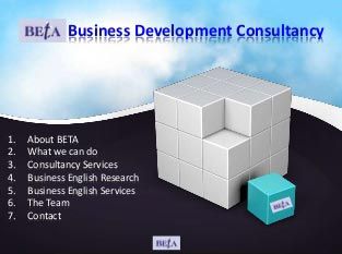 Business Development Consultancy