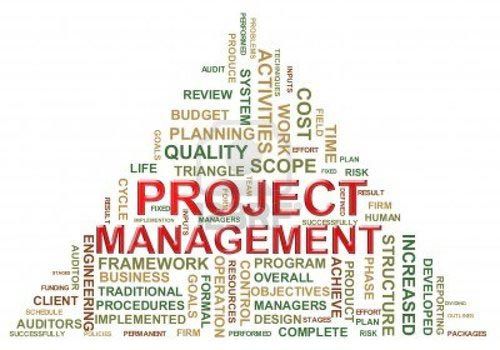 Project Management Consultancy