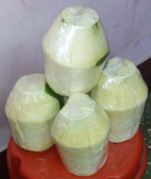 tender-coconut-manufacturer-innagercoil-tamil-nadu-india-by-universe