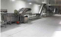 Frozen vegetable processing plant