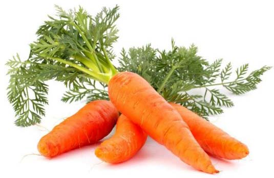 Fresh Carrot