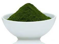 spirulina powder