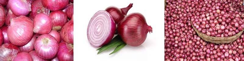 fresh onions