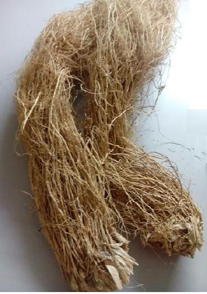vetiver root