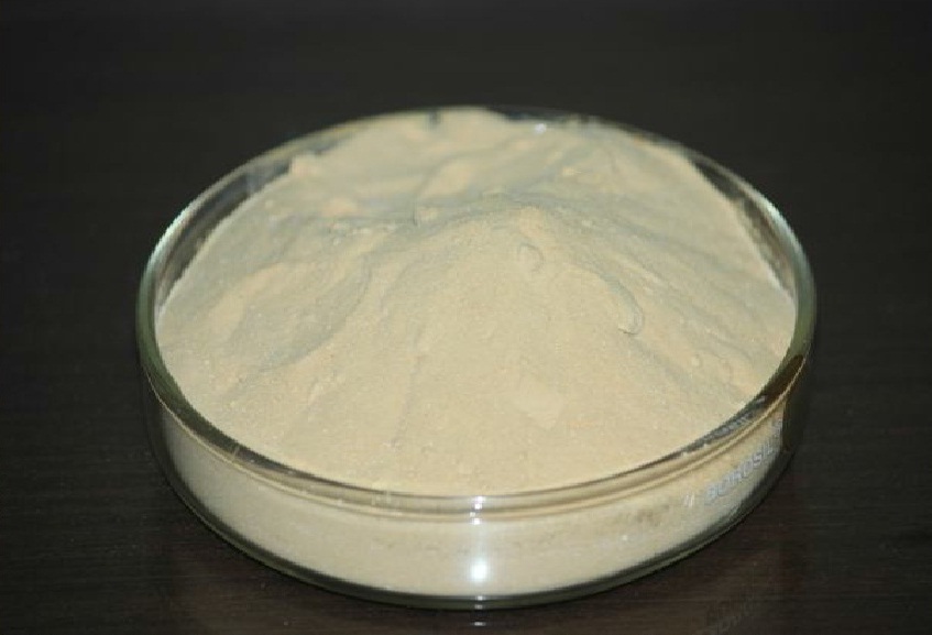 Fish Oil Powder with Omega 3 Fatty Acid 10 % 10%-40% Powder, Omega 3 F