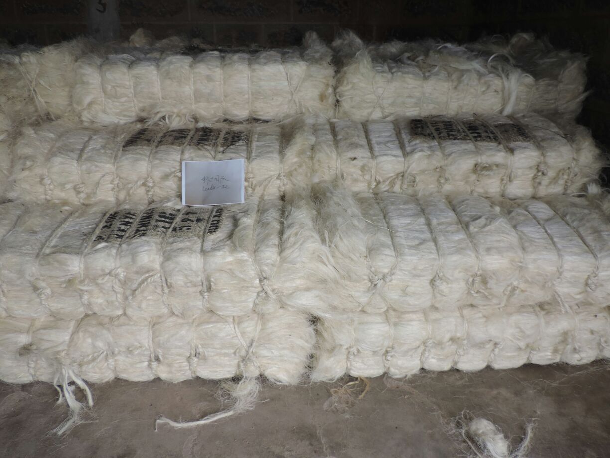 Natural Sisal Fibers