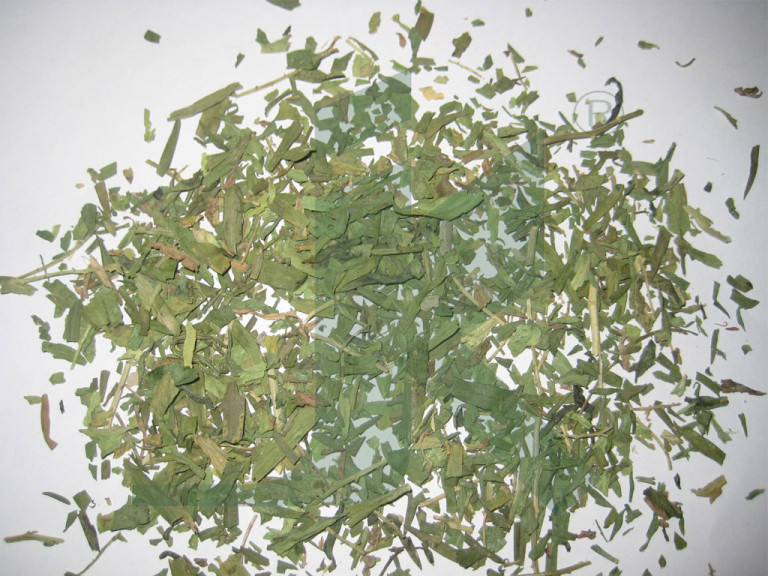 ARTEMISIA DRACUNCULUS (tarragon leaves)