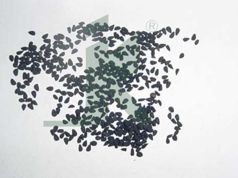 Black Cumin Seeds