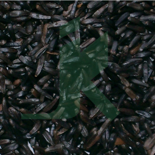 GUIZOJIA ABYSSYNICA (niger seed)