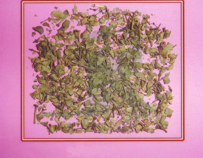 LARREA TRIDENTATA (Chaparral leaves)