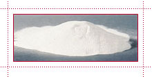KGCOL Gum Arabic Powder, Shelf Life : 24 Months