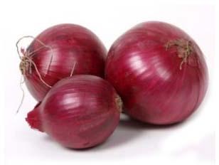 Onions, Color : Light dark red color