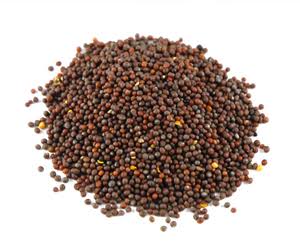 Mustard Seeds