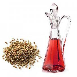 Ajwain Oil