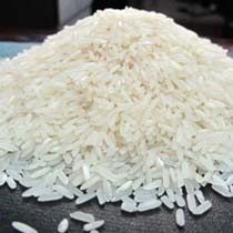PR 16 Non Basmati Rice, Variety : Medium Grain