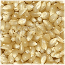 MAIZE (WHITE)