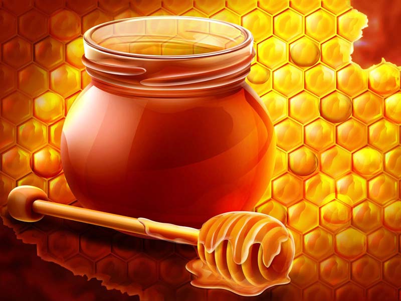 Bee honey, Packaging Type : bottles