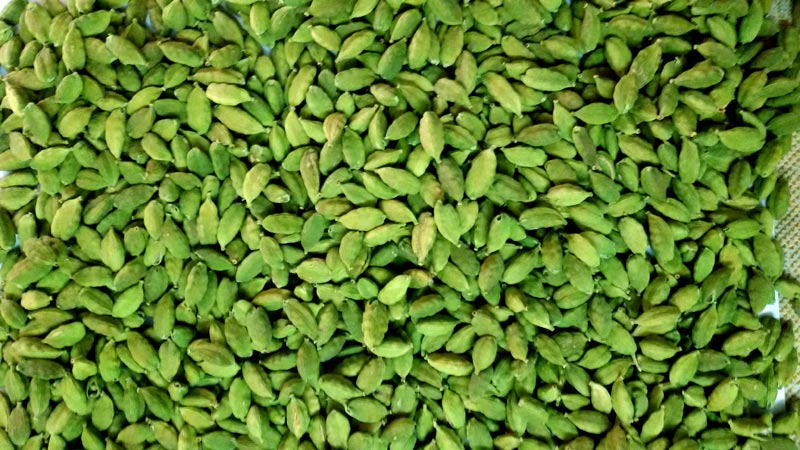 Fresh Green Cardamom