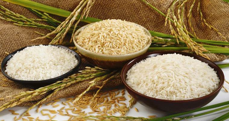 Soft Organic Indian Rice, for Cooking, Food, Human Consumption, Making Snacks, Packaging Type : Gunny Bag