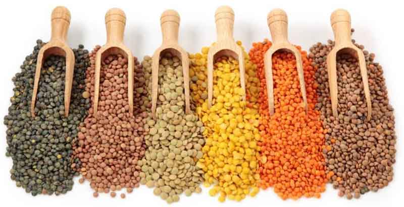 Organic Indian Pulses, for Cooking, Packaging Type : Jute Bag, Plastic Bag, Plastic Packet
