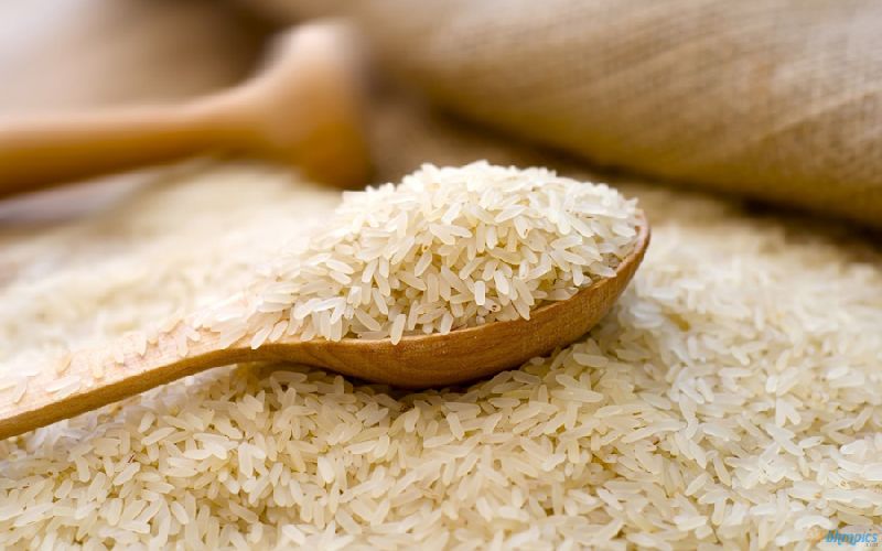 Non Basmati Rice, Variety : PR14, IR8, IR 64, Masuri