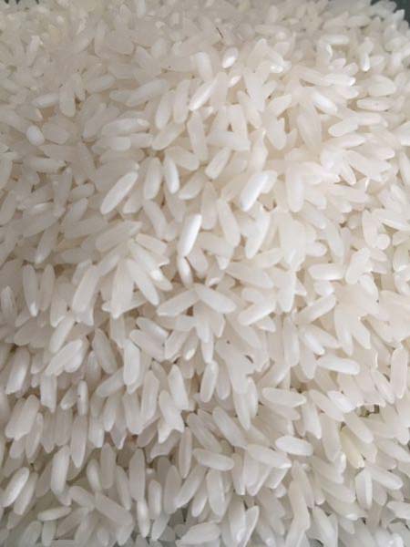 IR-36 Medium Grain Non Basmati Rice