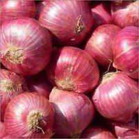 Round Fresh Nashik Onion