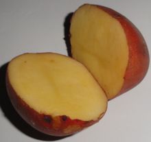 Natural Fresh Potato