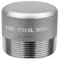 Stainless Steel 316L Square Head Plug