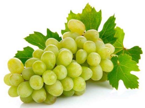 fresh grapes